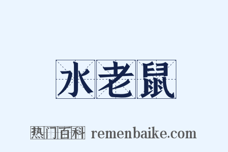 水老鼠是什么意思的图片
